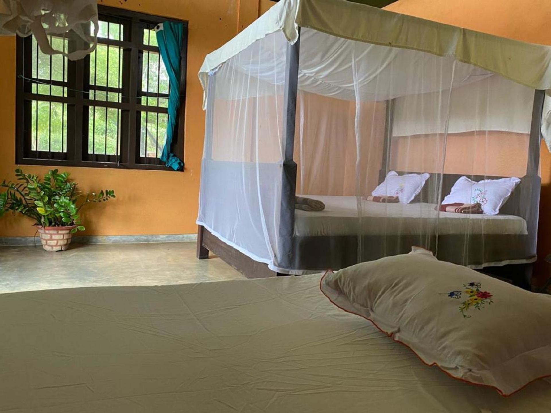 Yala Ying Yang Hostel & Camping Bagian luar foto