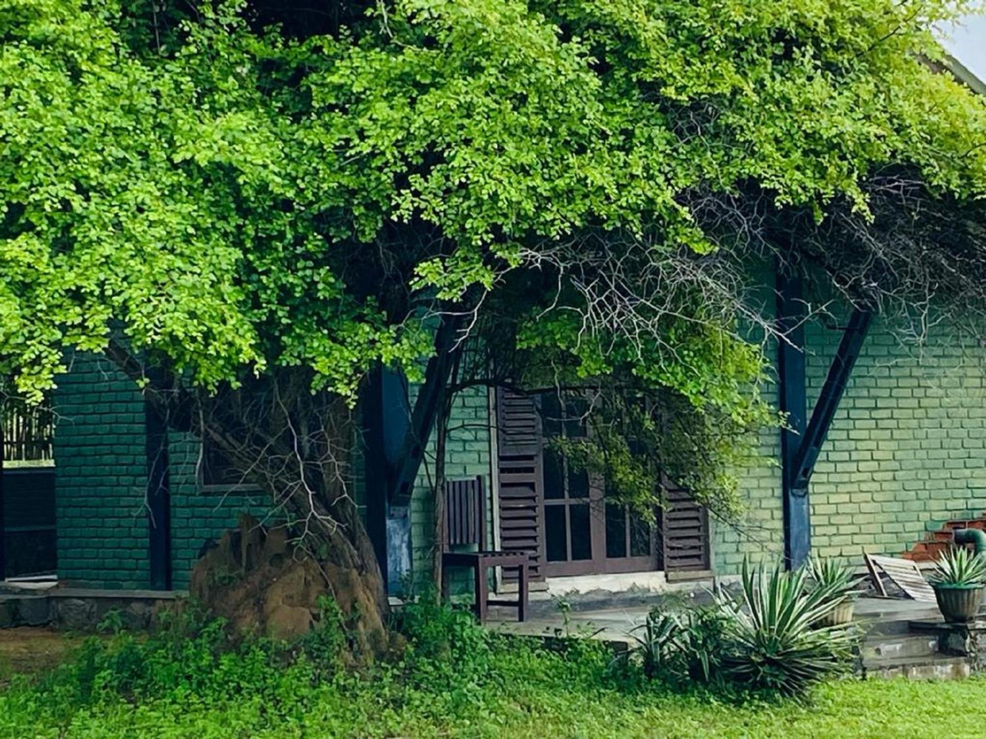Yala Ying Yang Hostel & Camping Bagian luar foto